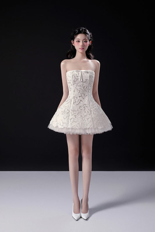 Raffiné White Aimee Lace Tulle Mini Dress