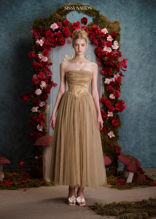 SISSY NATION Amelia Corset Maxi Dress